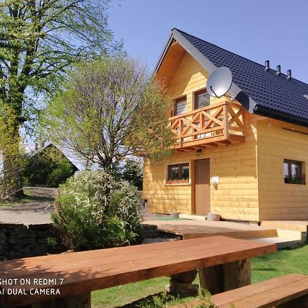 Apartamenty Pod Lipa Lutowiska Esterno foto