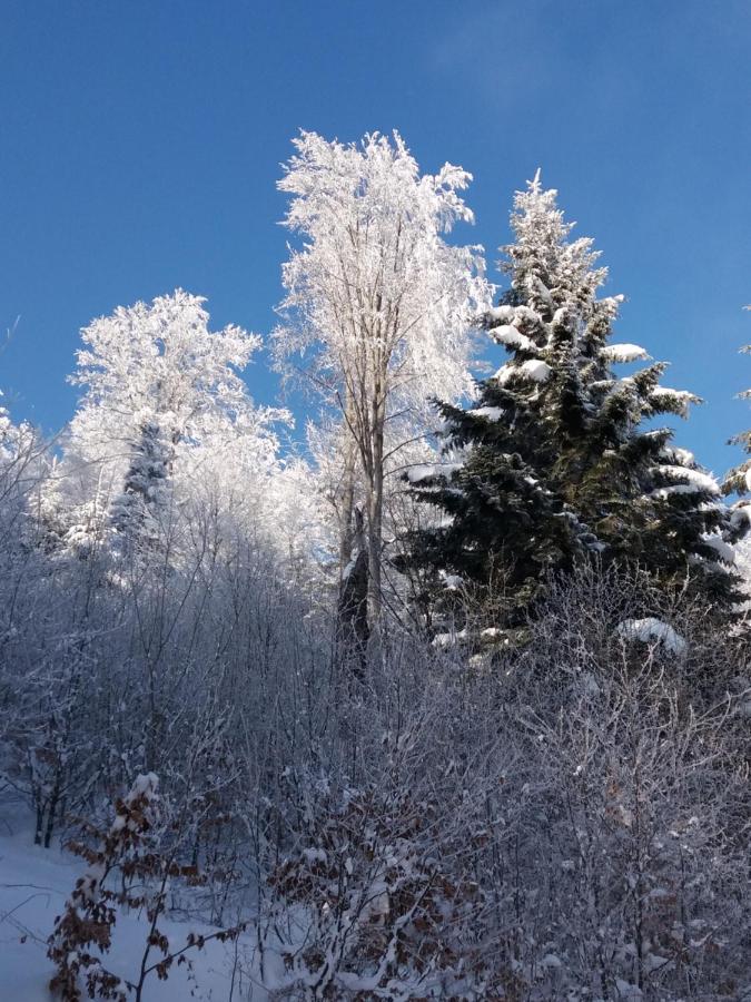 Apartamenty Pod Lipa Lutowiska Esterno foto