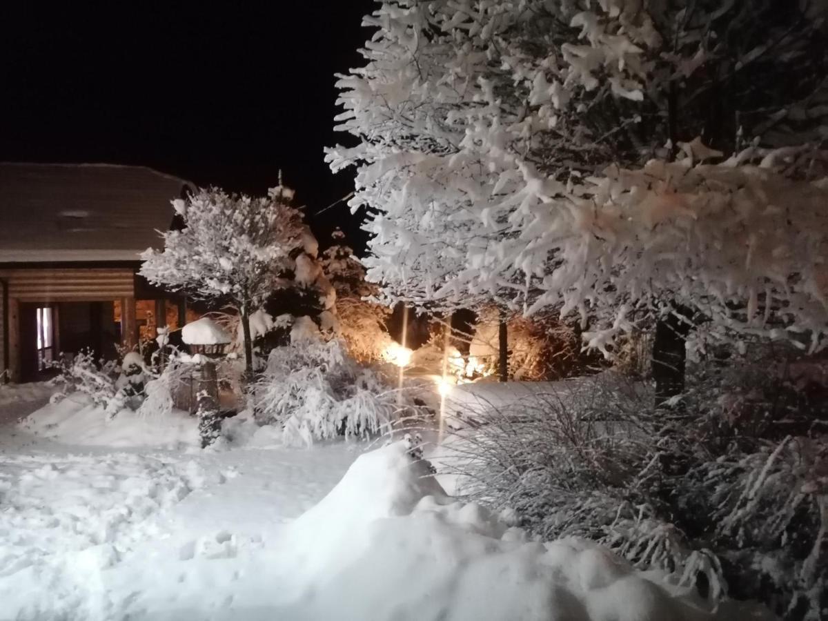 Apartamenty Pod Lipa Lutowiska Esterno foto