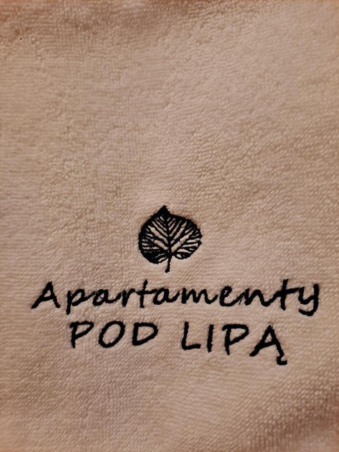 Apartamenty Pod Lipa Lutowiska Esterno foto